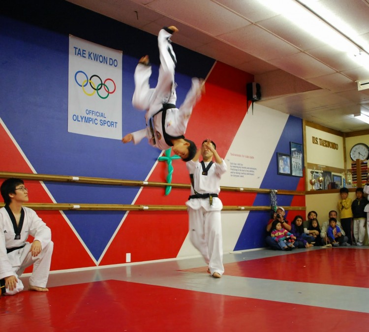 us-taekwondo-team-photo